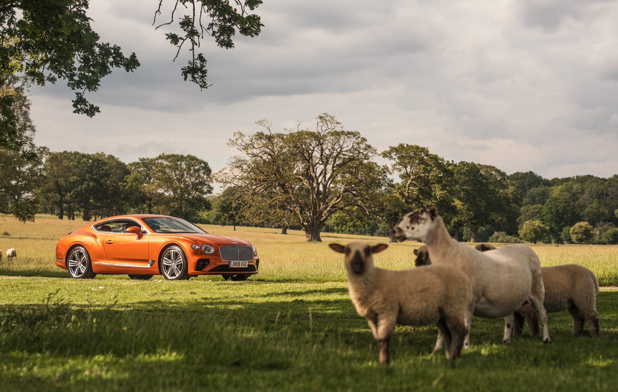 10 MOST-FINA-NCED-supercars-SCD Bentley_-6 10 MOST-FINA-NCED-supercars-SCD JCT600 Dealer Drive-13