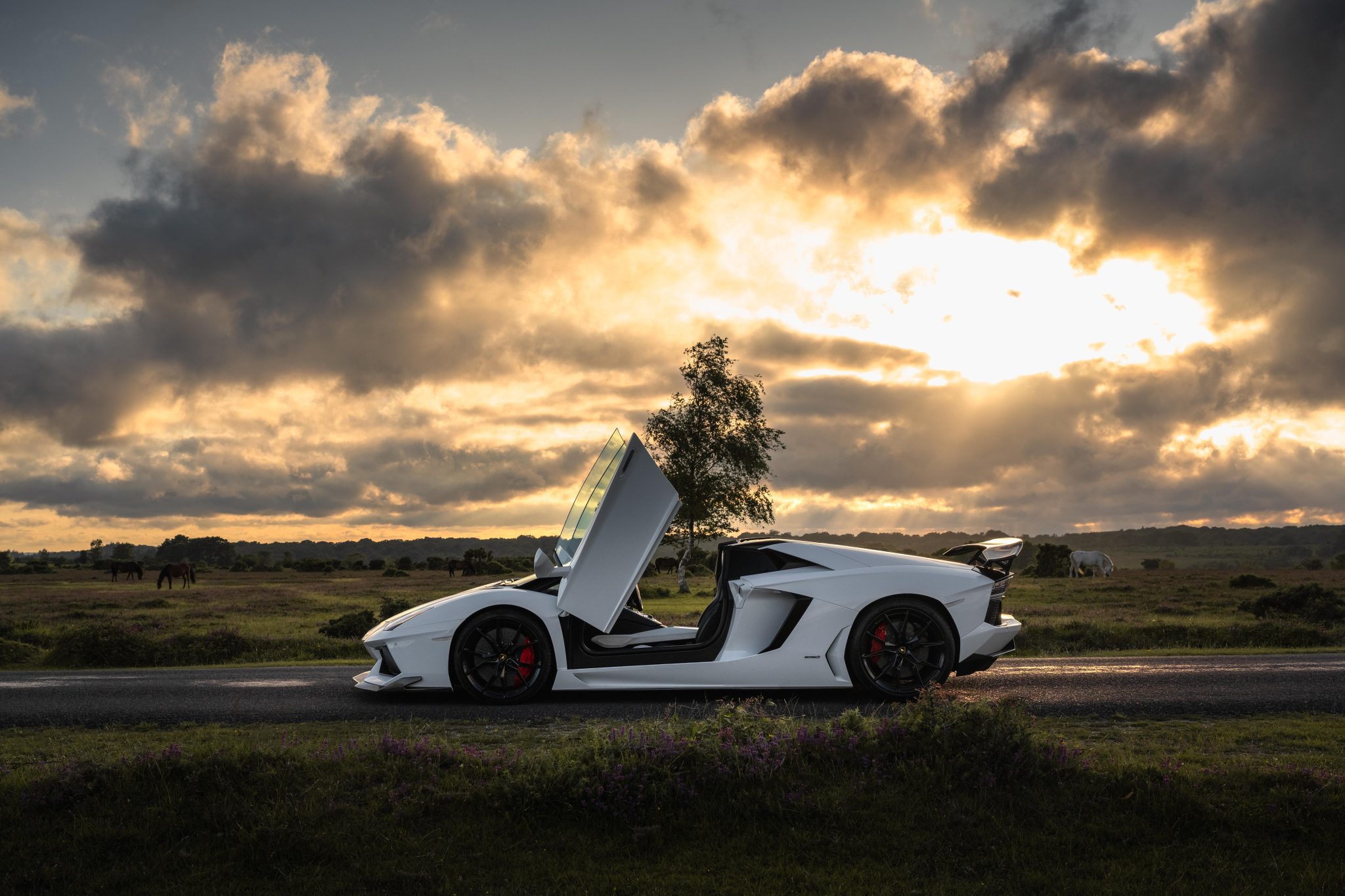 Scd Tour Des Alps 236